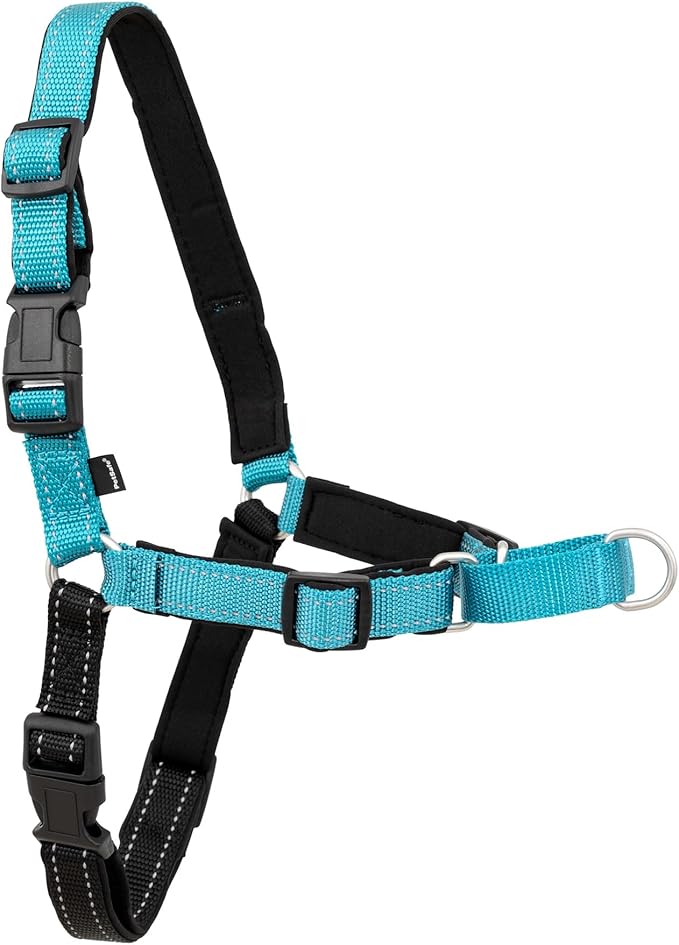 Petsafe Deluxe Easy Walk Harness, Small, Ocean Blue, Model:EWH-D-HC-S-OCN | Padded Neoprene Straps, Reflective Strips for Night Safety, Martingale Loop Curbs Pulling from the Chest, Not the Throat