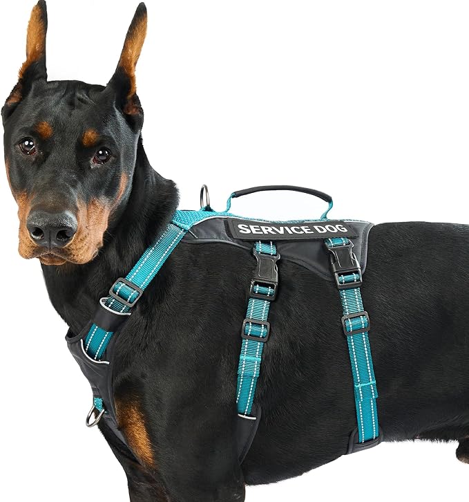 Service Dog Vest Harness, Escape Proof Harness with 6 Patches, No-Pull, Reflective Harness with Handle, Adjustable for Small to Large Dogs, for Training and Hiking (Teal, L)