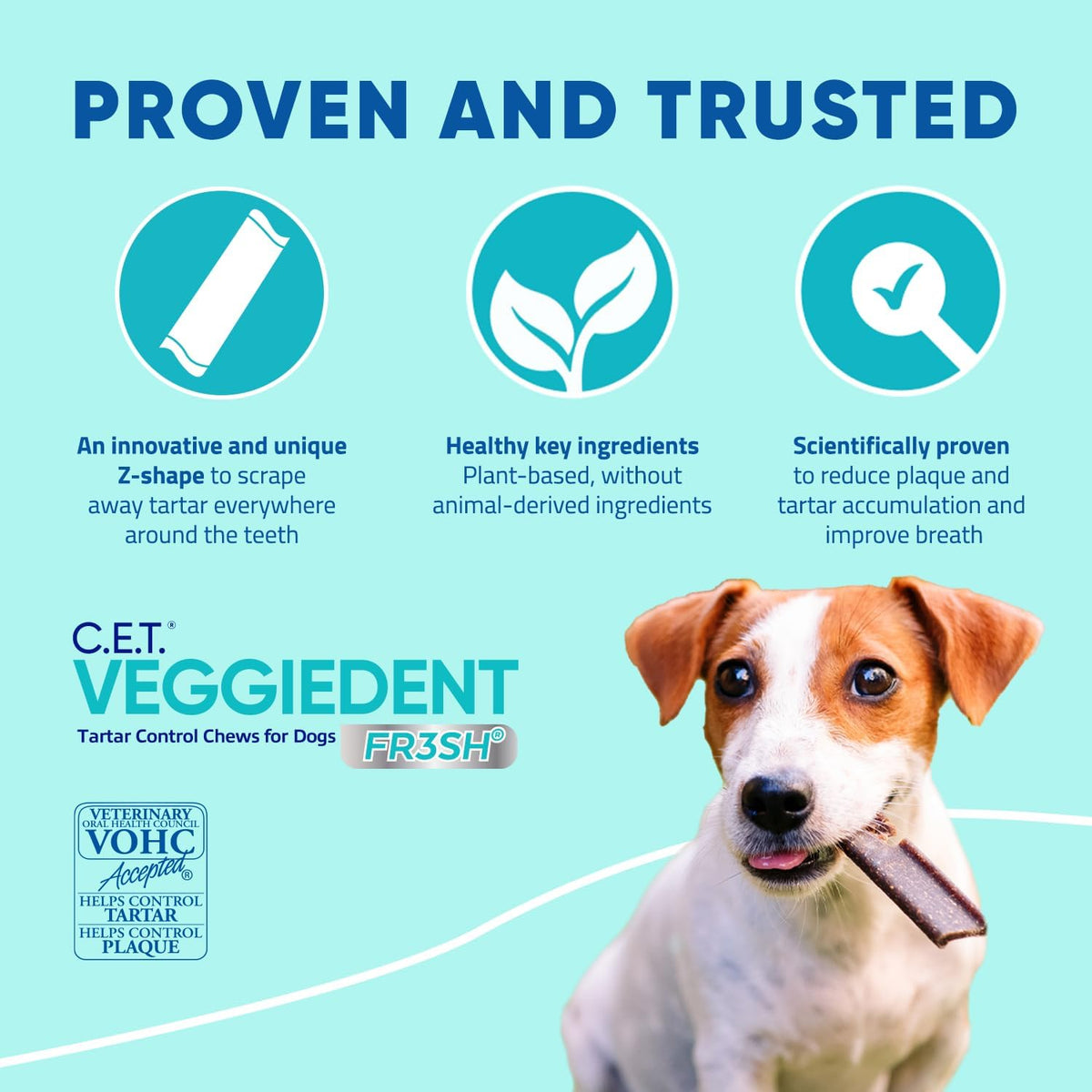 Virbac C.E.T. VEGGIEDENT FR3SH Tartar Control Chews for Dogs, Medium, Beef, 1.6 pounds