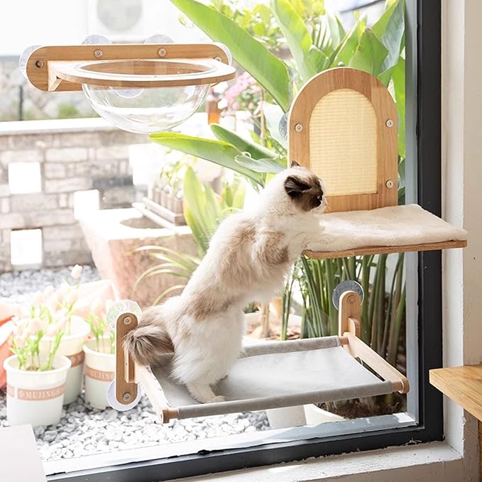 Cat Wall Shelves, Corner Climbing Shelf Perches, Kit Shelf, Suct Cup Support, Load-Bearing 20kg