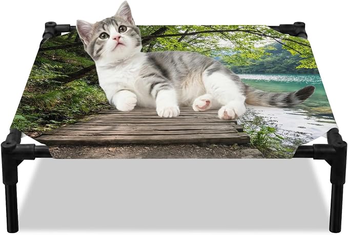 Outdoor Elevated Dog Bed for Small Dogs, Nature Scenery Breathable Cooling Raised Dog Cot for Indoor/Outdoor, Forest Walkway Lake Trees Spring View Waterproof Elevated Pet Beds, S 20 x 20 in