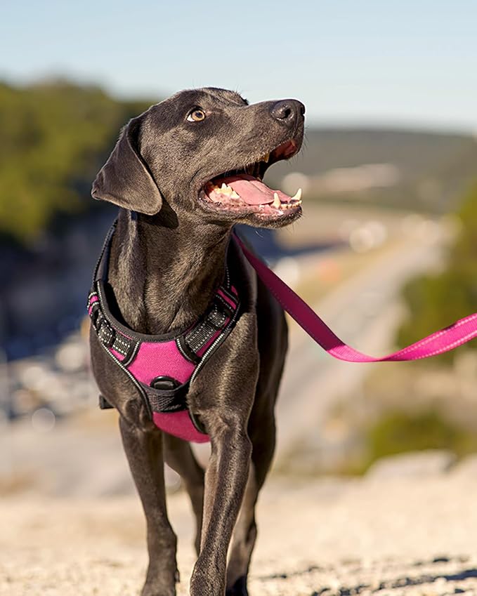 Joytale No Pull Dog Harness Medium Sized Dog, Front Clip, Hot Pink | Grab Handle for Instant Control, Padded & Adjustable Vest, Sturdy Metal D-Rings, for Safe Training & Daily Walking