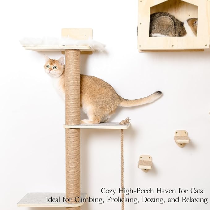 Cat Wall Shelves, Wood Wall Mounted Cat Furniture with 4 Tier Cat Tree,1 Cat Wall House,2 Cat Perches and 3 Wall Steps,Climbing Cat Shelves for Wall Large Cats Set