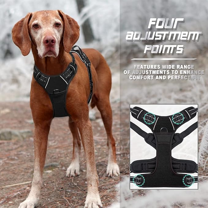 BARKBAY Dog Harness No Pull for Medium Sized Dog Front Back Clips,Dog Vest | Soft Padded No Choke With Handle,Easy On&Off,Adjustable Reflective For Walking Training Running(Black,M)