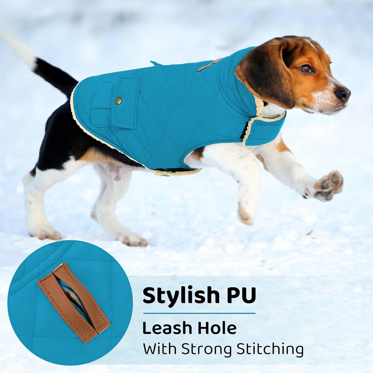 Queenmore Dog Winter Coat Warm Puffer Jacket Waterproof Plush Lining Thermal Cold Weather Vest for Small Medium Large Dogs, Windproof Easy On Pet Jacket Blue M