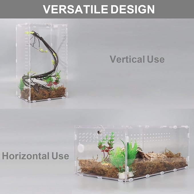 Aiicioo Micro Habitat Terrarium Enclosure 8x6x14 Inches Tarantula Enclosure Box Insect Habitat Clear Acrylic Reptile Feeding Tank for Jumping Spiders Insect Small Tree Dwelling Reptiles