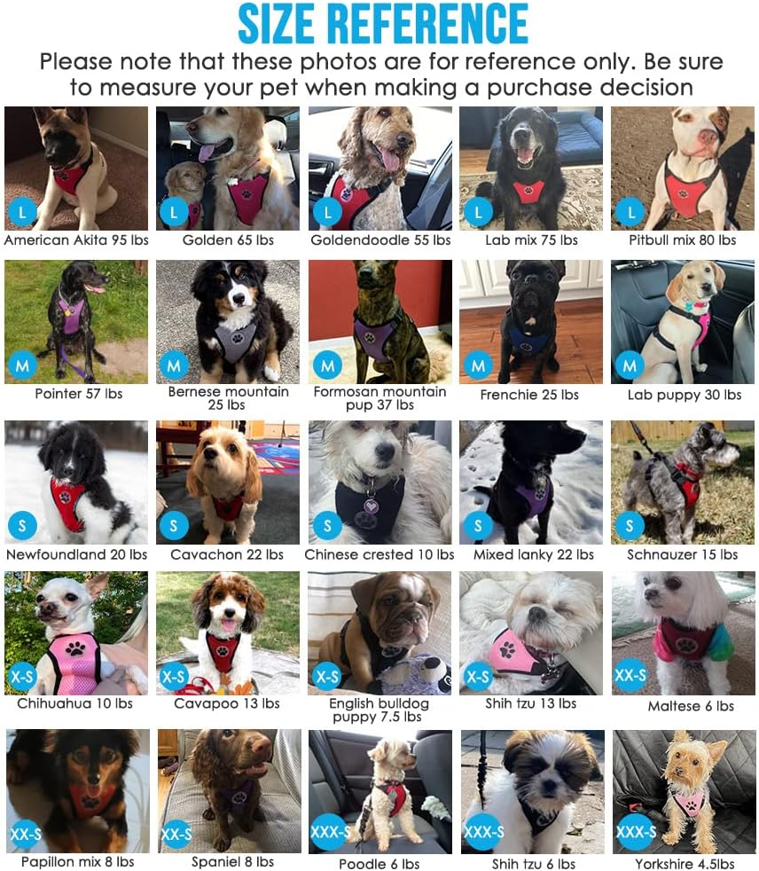SlowTon Dog Seat Belt Harness for Car, Dog Car Harness Adjustable Mesh Breathable & Dog Seatbelt Safety Tether with Elastic Bungee for Small Medium Large Pets(Blue, Double Clip, XS)
