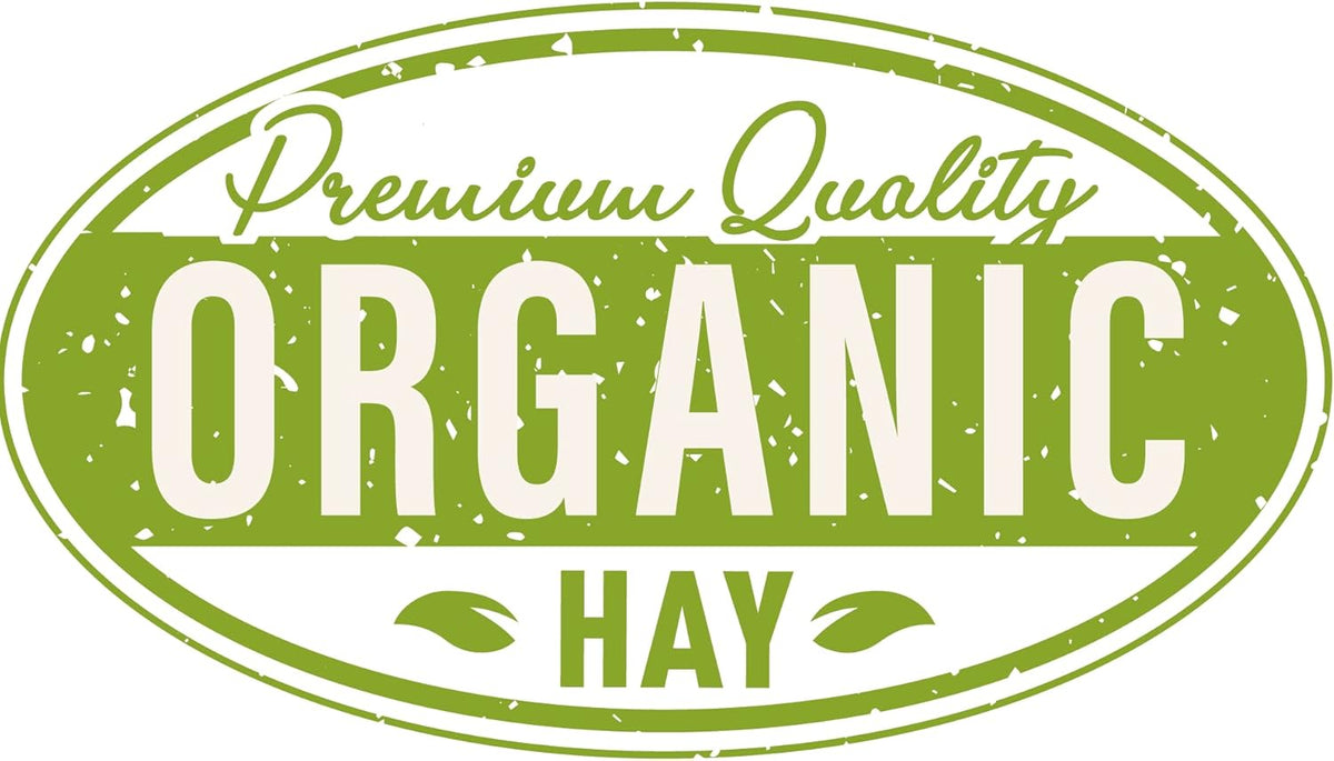 Blue Mountain Hay High-Altitude Hay - Organic Alfalfa, 5lb - High Protein, Fiber & Mineral-Rich - Soft, Leafy, High Leaf Retention - Ideal for Goats, Rabbits, Guinea Pigs & Other Small Animals