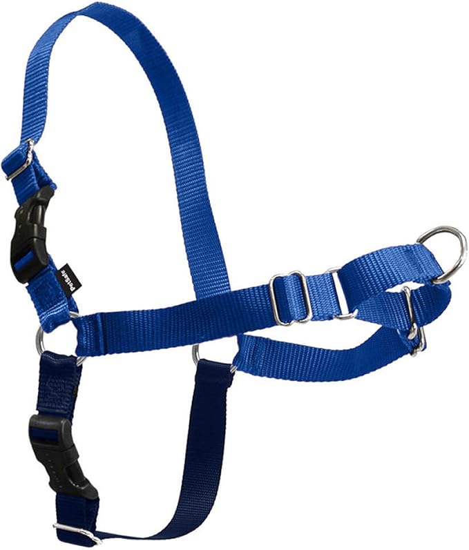 PetSafe Easy Walk Harness for Dogs - Pull-Free Walks - Patented Martingale Loop Design - Front Chest Leash Attachment - Comfort Straps - Breathable Harness Design - Small, Royal Blue/Navy Blue | Patented Martingale Loop Gives Gradual Shoulder Pressure ...