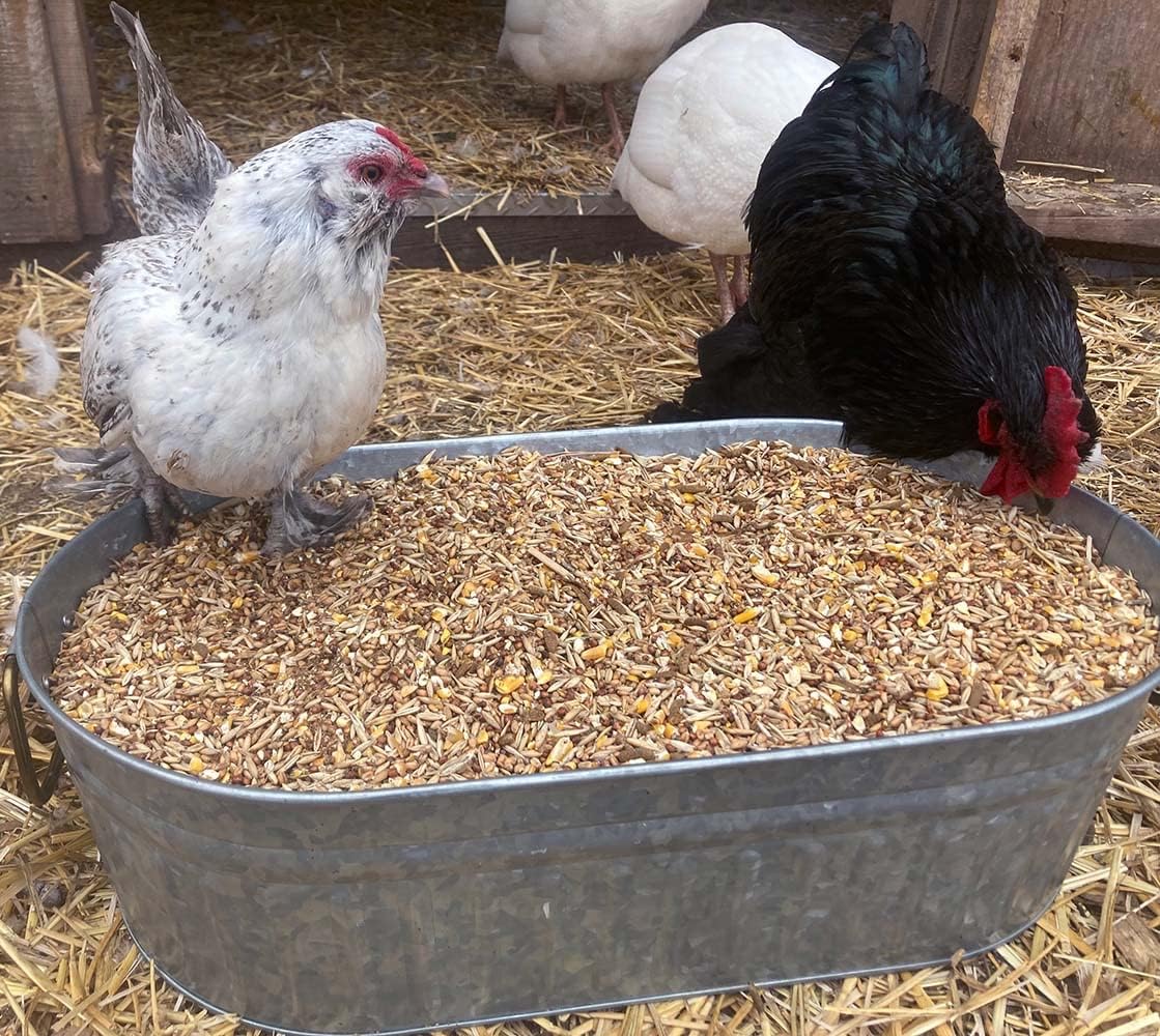 Pampered Chicken Mama Backyard Feed - Premium Scratch Treat - High Protein & Calcium All-Natural Grower Feed Supplies for Laying Chickens (2.5 Pounds)