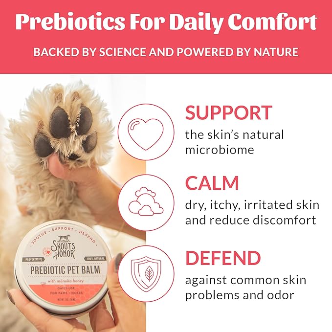 SKOUT'S HONOR Prebiotic Pet Balm - 100% Natural and Made w/Manuka Honey to Promote Healing of Your pet's paw Pads and Nose, Soothes Dry, Itchy Paws and Noses - Safe for Cats and Dogs, 2oz, 2-Pack