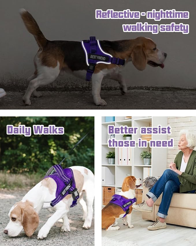 AUROTH Dog Harness and Leash Set for Large Sized Dog, No Pull Dog Vest | with Leash Clips, LED light clip, Soft Padded No Choke, Escape Proof, Easy Walking and Training, Purple, XL