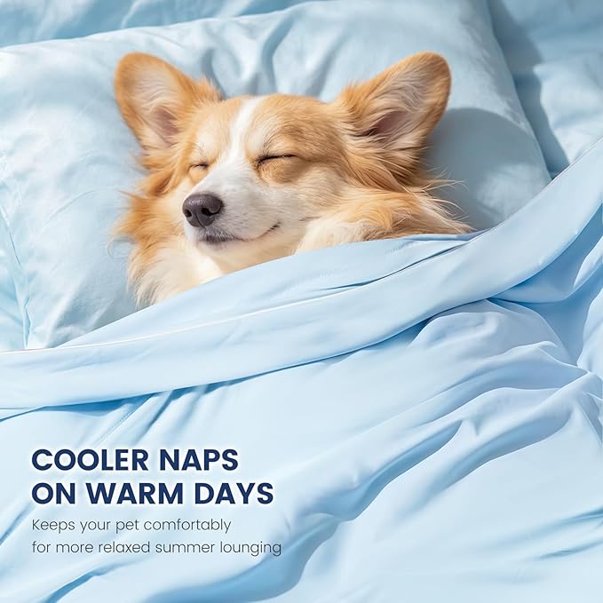 Mora Pets Premium Cooling Blanket for Dogs, Q-MAX>0.5 Washable Breathable Cooling Mat, Lightweight Soft Summer Pet Throw Blanket, Furniture Protector Bed Couch Cover for Small Dog Cat, Blue, 29x40
