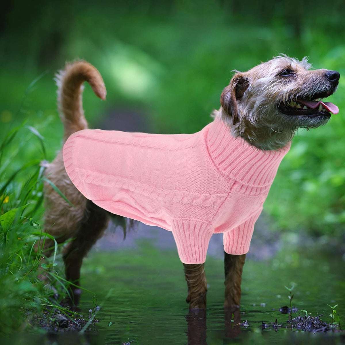 Queenmore Small Dog Pullover Sweater, Cold Weather Cable Knitwear, Classic Turtleneck Thick Warm Clothes for Chihuahua, Bulldog, Dachshund, Pug, Yorkie (Pink, Large)