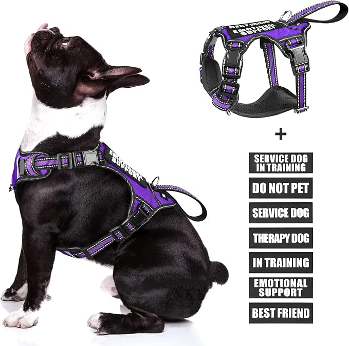 Service Dog Vest No Pull Dog Harness with 7 Dog Patches, Reflective Pet Harness with Durable Soft Padded Handle for Puppies, Small, Medium, Large, and Extra-Large Dogs