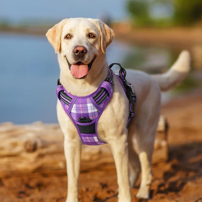rabbitgoo Dog Harness, No Pull for Large Dogs with 2 Leash Clips, Pet Vest | No Choke with Handle, Adjustable Soft Padded, Reflective, Easy Control for Walking, Purple Plaid, Large