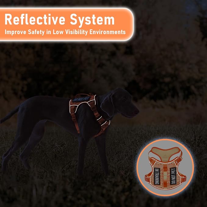 AUNZO Dog Harness for X-Small Dog Breed, Light Pet Vest Harness with 2 Leash Clips and 3 Buckles, Easy to Wear, Adjustable Reflective Soft Padded, Boston Terrier, Beagle, Poodles, Orange XS
