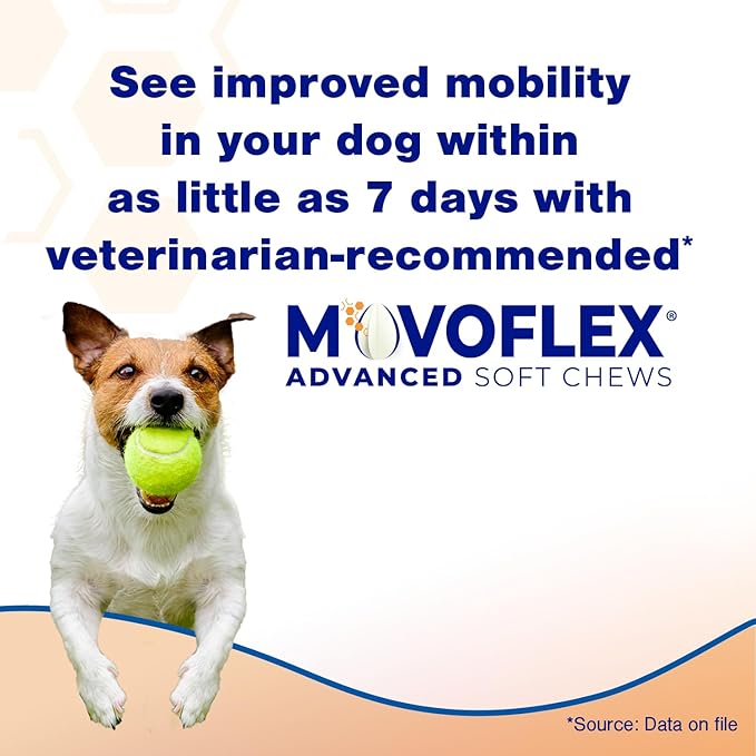 MOVOFLEX Advanced Soft Chews Hip and Joint Support Supplement for Large Dogs 120 Count by Virbac