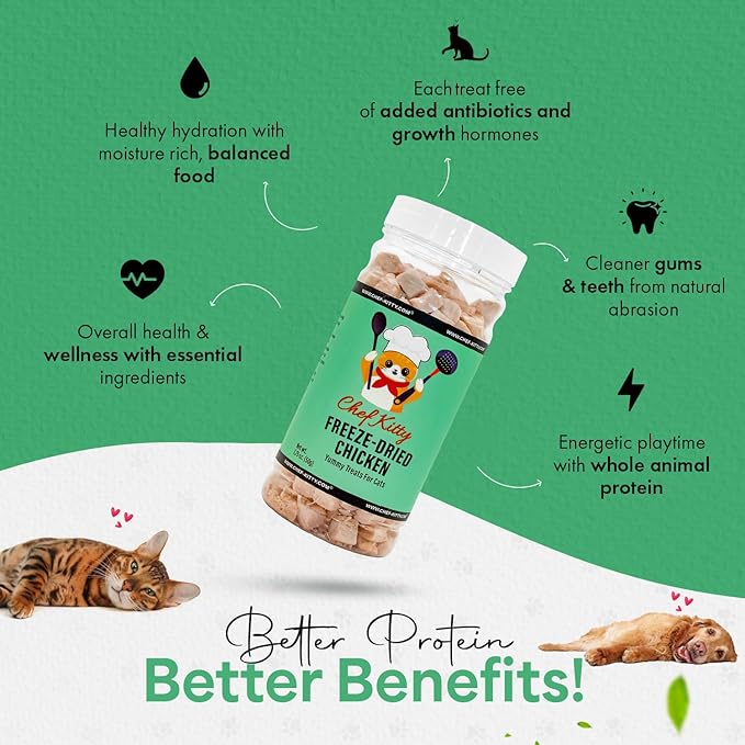 Freeze Dried Chicken Cat Treats | Healthy Dog Food Toppers 100% Human Grade | Single Ingredient, Grain Free Chicken Dog Treats | Inspected & Tested in USA | No Additives or Preservatives, 1.7 oz ASIN