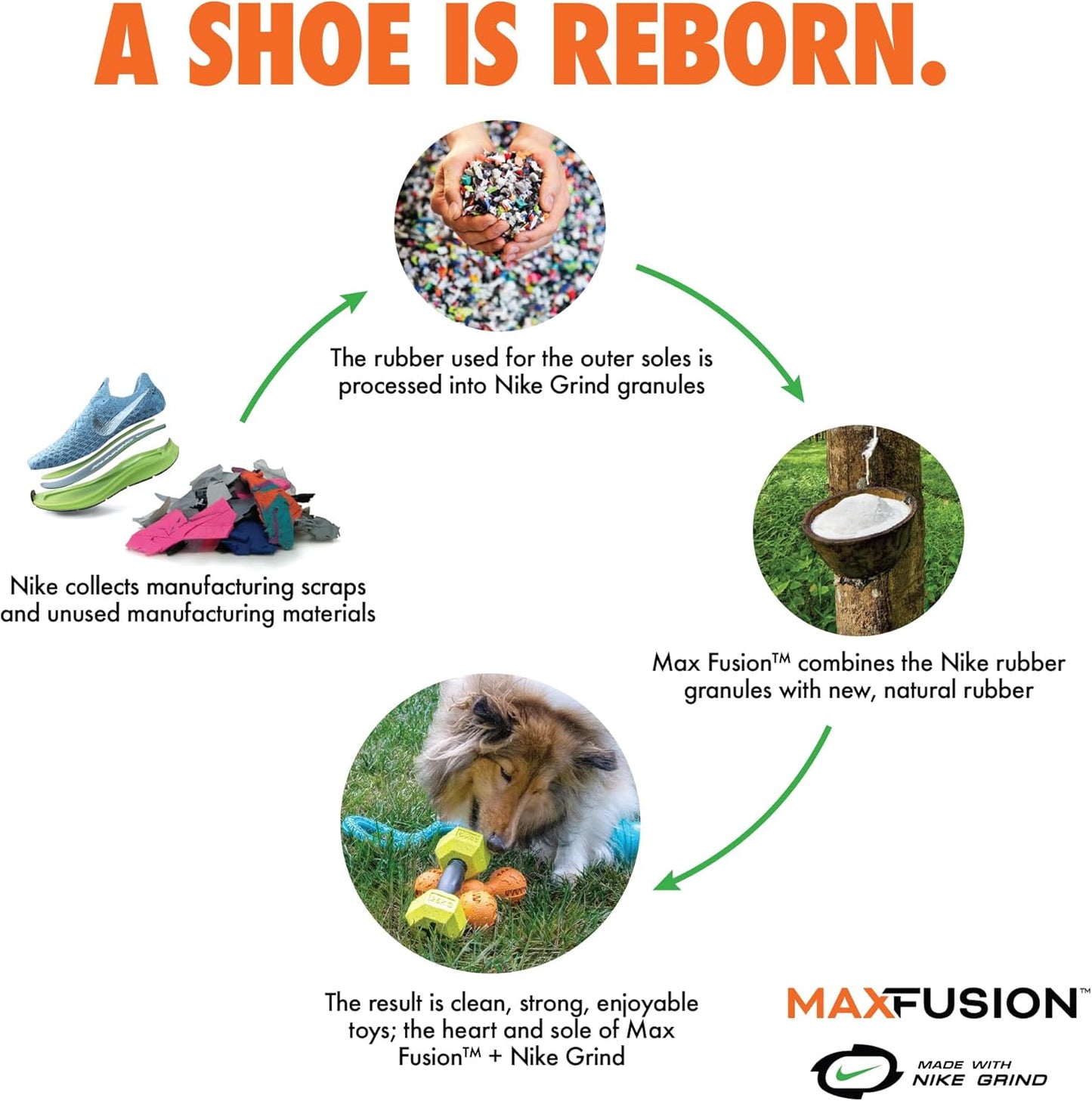 Max Fusion with Nike Grind, Arlee Spike Bone Dog Toy, Chew Toy for Play, Fetch, Tug, M