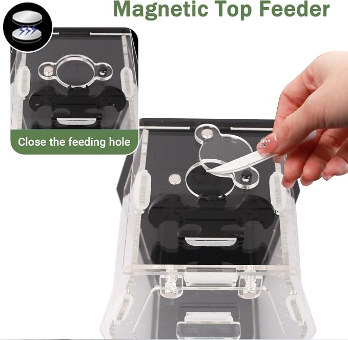 Acrylic Spider Enclosure Coffin House with Magnetic Lock | Coffin-Shaped House, Magnetic Lock & Feeding Port, No Tools Assembly, Jumping Spider Habitat, Easy Clean