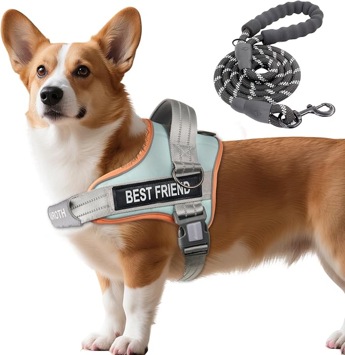 AUROTH Dog Harness and Leash Set for Medium Sized Dog, No Pull Dog Vest | with 5.25FT Dog Leash, Breathable Soft Padded, No choke, Reflective Tactical, Easy to Put on & Take Off - Macaron Blue Medium