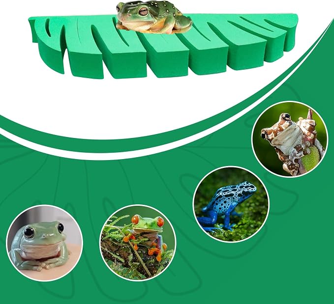 Tree Frog Terrarium Accessories, 3 Pack Green Sponge Relax Spots with Adhesive, Frog Habitat Platform, Tank Habitat Accessories for African Dwarf Frog, Toad