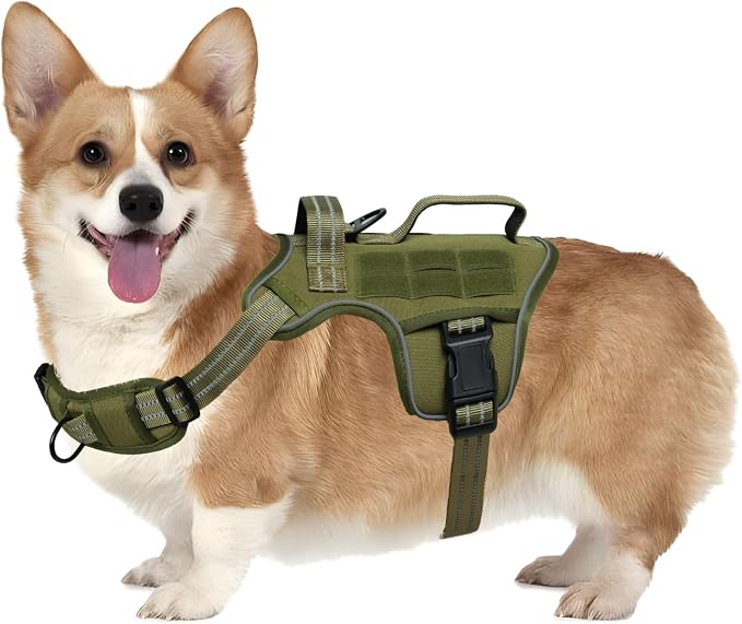 Dog Harness, Tactical No Pull for Small Sized Dog with Handle | Breathable Soft Padded, Adjustable, Reflective, Molle System, Heavy Duty, No Choke for Walking Training, Green Small