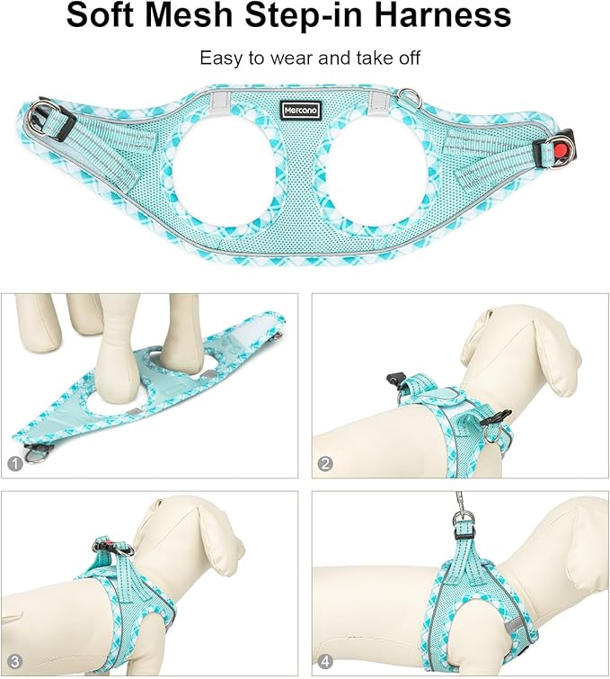 Mercano Soft Mesh Dog Harness and Leash Set, No-Chock Step-in Reflective Breathable Lightweight Easy Walk Vest Harnesses with Safety Buckle for Small Dogs, Cats (Light Blue, XXS)