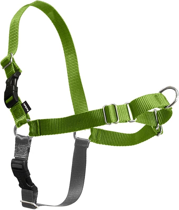 PetSafe Easy Walk Harness, No Pull Dog Harness, Apple Green, Medium | Patented Martingale Loop Gives Gradual Shoulder Pressure to Stop Pulling, Front-Chest Leash Clip Prevents Gagging