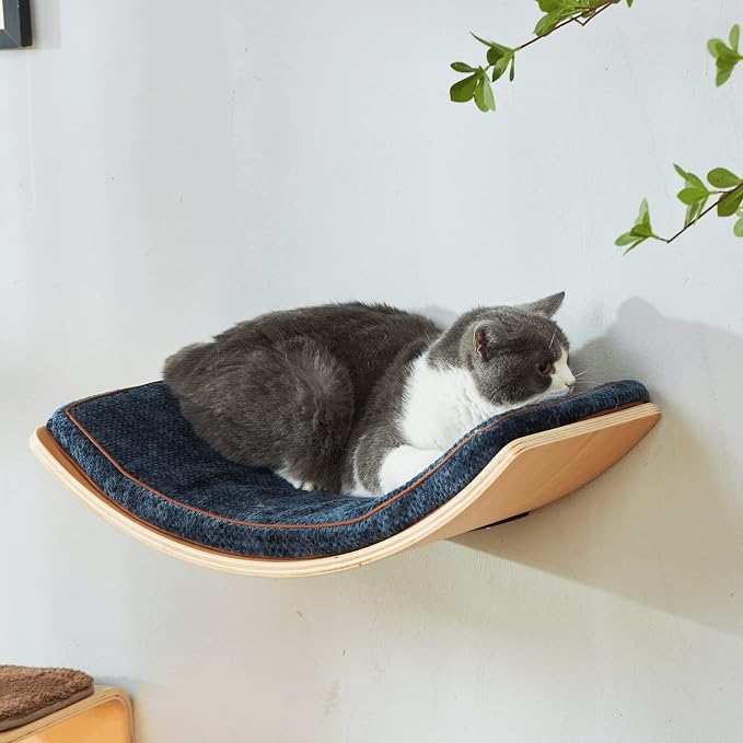 LIORCE Cat Shelf with Comfortable Cushion - Curved Modern Cat Bed (Large Size) - Lotus Leaf Design Cats Wall Perch - Wall Mounted Cats Furniture for Sleeping, Playing, Climbing, and Lounging