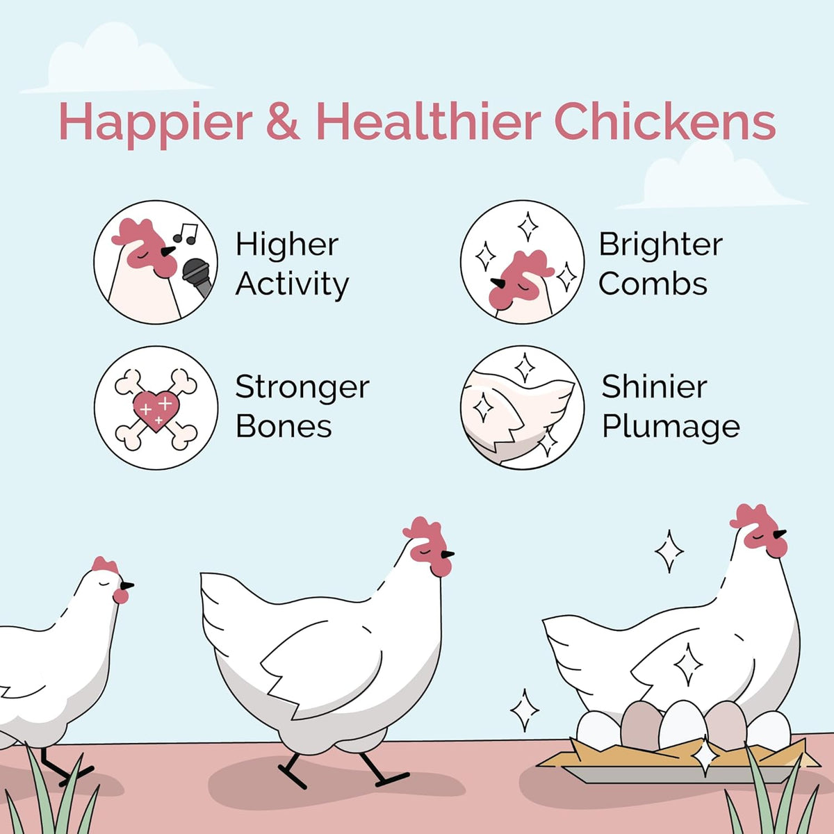 Organic Chicken Feed – Layer Mash, Non-GMO, USA Grown, 16% Protein, Corn-Free, Soy-Free, Non-Medicated Feed for Chickens, 23 lbs