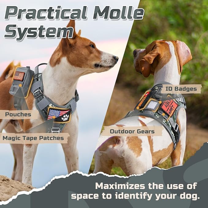 rabbitgoo Tactical Dog Harness for Medium, No Pull Military Service Vest | Molle & Handle, Heavy Duty, Adjustable, Reflective Straps, Easy Control for Training Walking, Grey Camo, Medium