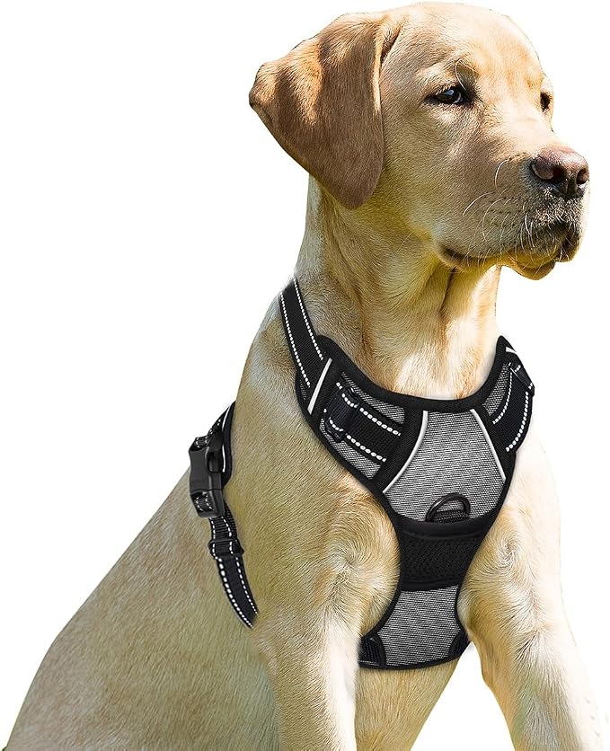 BARKBAY Dog Harness No Pull for Small Sized Dog Front Back Clips,Dog Vest | Soft Padded No Choke With Handle,Easy On&Off,Adjustable Reflective For Walking Training Running(Dark Grey,XS)