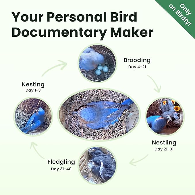Birdfy Smart Bird House with Camera Solar Powered, 1080HD Live Video & Night Vision for 24/7 Nesting Recording, Auto Detect & Notify, Ideal Nature Gift for Bird Lovers, AI Identify Lifetime Free