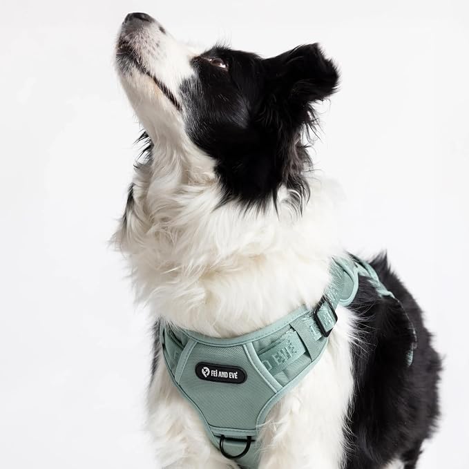 Fei & Eve Classic Dog Harness, MagEase Magnetic Buckle | 3-Point No-Pull Control, Dual Handle Support, 900D Nylon, Tactical Patch Panel, Heavy Duty, X-Large, Green