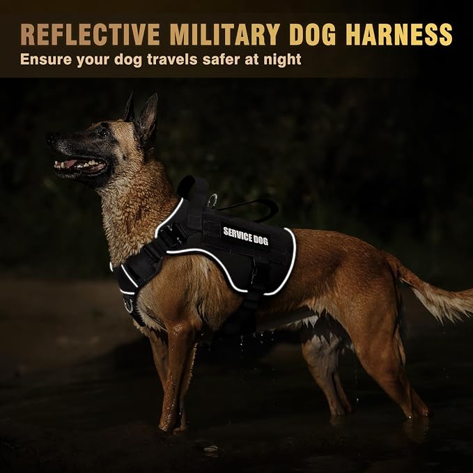 2X Metal Buckle Service Working MOLLE Dog Vest with 10 Pet Patches | Tactical Dog Harness for Medium Dog, No-pull Military Working Vest for Training Hunting Walking，2x D Rings for Leash Clip