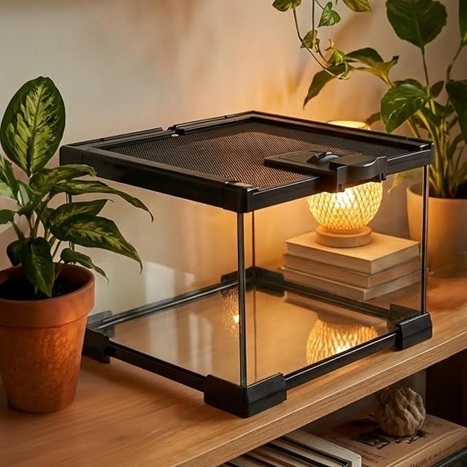 Small Glass Reptile Enclosure: 8x8x6 Full View Tarantula Enclosure | Lockable Sliding Screen Top Glass Terrarium - Insects Breeding Box Small Amphibians Cage for Leopard Gecko Hermit Crab