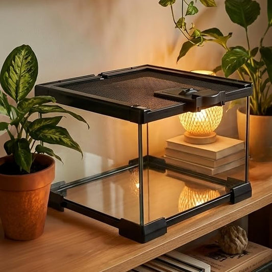 Small Glass Reptile Enclosure: 8x8x6 Full View Tarantula Enclosure | Lockable Sliding Screen Top Glass Terrarium - Insects Breeding Box Small Amphibians Cage for Leopard Gecko Hermit Crab