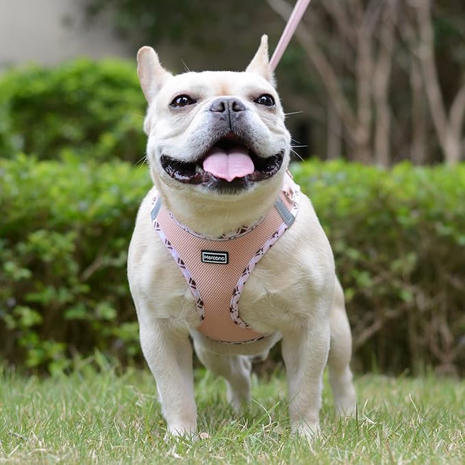 Mercano Soft Mesh Dog Harness and Leash Set, No-Chock Step-in Reflective Breathable Lightweight Easy Walk Vest Harnesses with Safety Buckle for Small Dogs, Cats (Champagne, M)