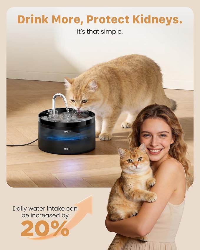 Cat Water Fountain for Cats Indoor: GIOTOHUN 108oz/3.2L Black Cat Drinking Founttain - Pet Fountains Contains 6 Filters + 3 Sponges