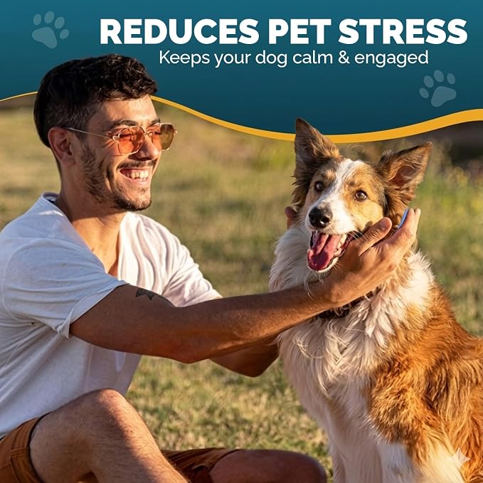PET ARENA Adjustable Dog Snuffle Mat Interactive Feeding Toy - Multicolor | Encourages natural foraging, helps reduce boredom, slows eating, and provides mental stimulation for daily enrichment.