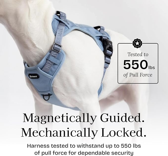 Fei & Eve Classic Dog Harness, MagEase Magnetic Buckle | 3-Point No-Pull Control, Dual Handle Support, 900D Nylon, Tactical Patch Panel, Heavy Duty, Medium, Blue