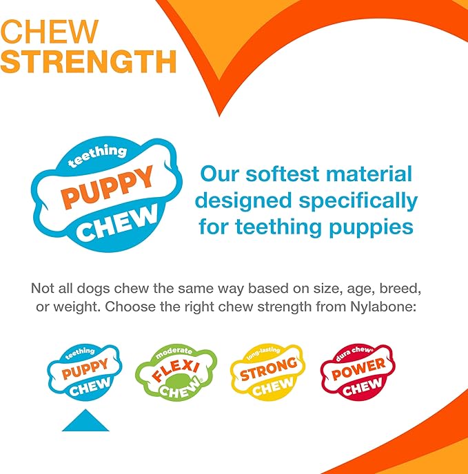 Nylabone New Puppy Starter Kit, 2 Chew Toys and 1 Natural Treat for Puppies, Puppy Teething Toy, Bacon & Chicken Flavor, Small Dogs - Up to 25 lbs., 3 Pack