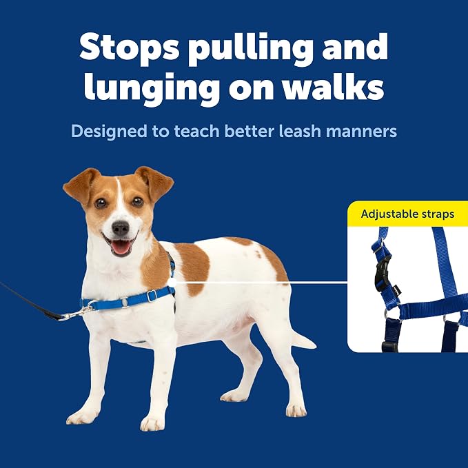 PetSafe Easy Walk Harness for Dogs - Pull-Free Walks - Patented Martingale Loop Design - Front Chest Leash Attachment - Comfort Straps - Breathable Harness Design - Small, Royal Blue/Navy Blue | Patented Martingale Loop Gives Gradual Shoulder Pressure ...