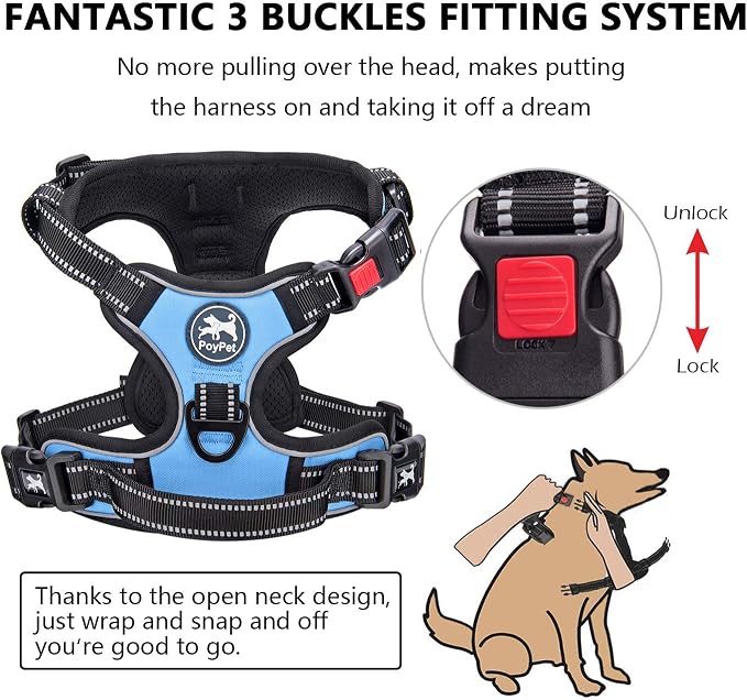 PoyPet No Pull Dog Harness Small with Front Clip & Neck Release Buckle | No Choke, Adjustable Vest, Reflective, Back Clip, Lockable, Soft Padded Handle for Walking Training, XS, Light Blue