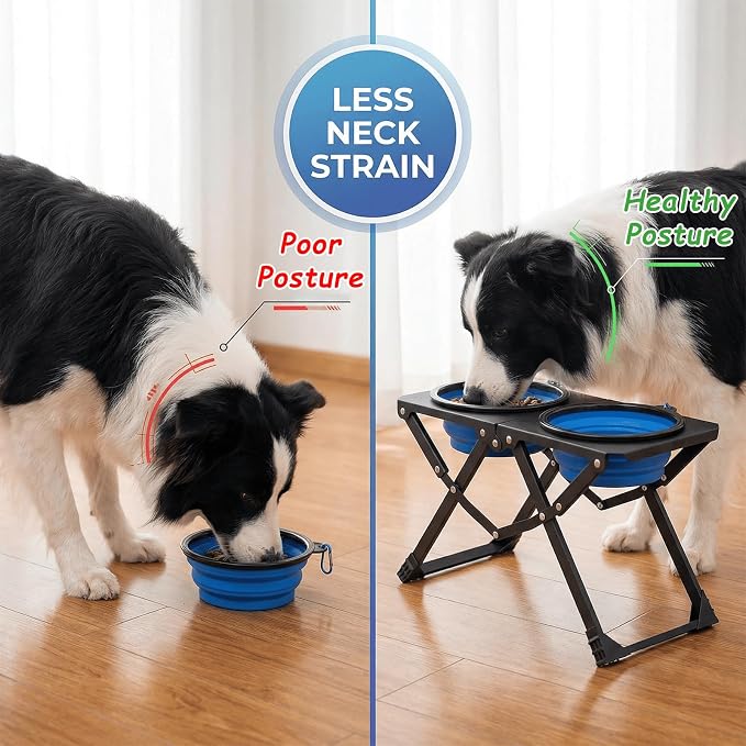 Foldable Elevated Dog Bowl Holder with 2 Large 50.7oz Folding Water Bowl, 10.2" Tall Raised Dog Bowl Stand for Medium/Large Breeds, Indoor and Outdoor Use