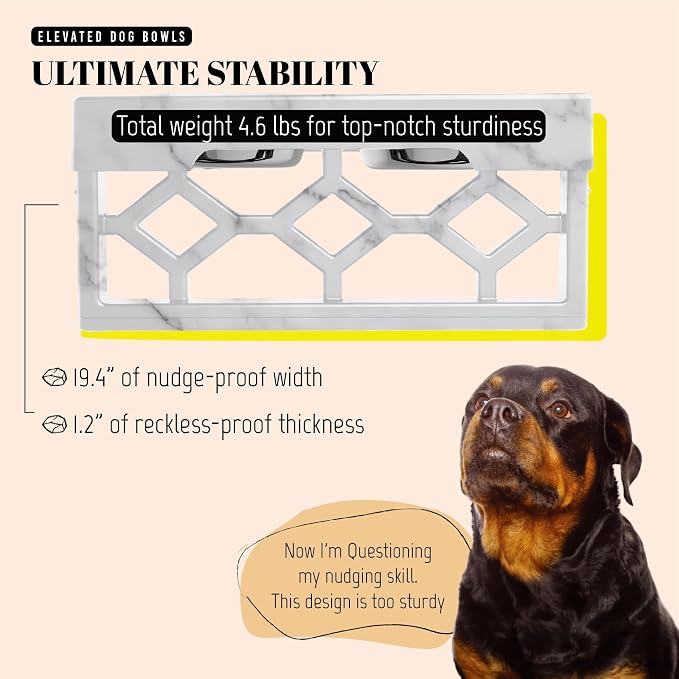 AVERYDAY Elevated Dog Bowls, 4 Height Adjustable Stand for Medium and Large Dogs, Raised Dog Feeder Holder with 2 Stainless Steel Food and Water Bowls, Anti-Slip Base Tall Feeding Station