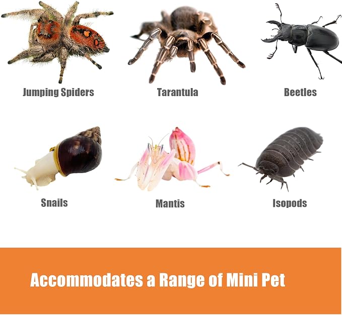 Acrylic Jumping Spider Enclosure Large 6”x6”x10” with Front Door, Arboreal Tarantula Enclosure, Praying Mantis Habitat for Spider, Mantis, Snail, Tarantula, Isopods, Beetles, Millipedes