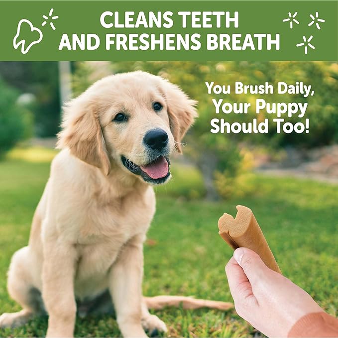 WHIMZEES Wellness Puppy Dog Dental Treats, Medium & Large Size Stick, (14 Count)
